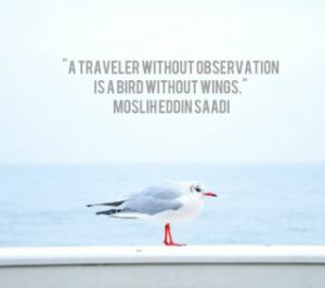 e0aeade9c31ddeb85344cff609e395c6